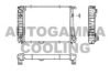 AUTOGAMMA 102043 Radiator, engine cooling